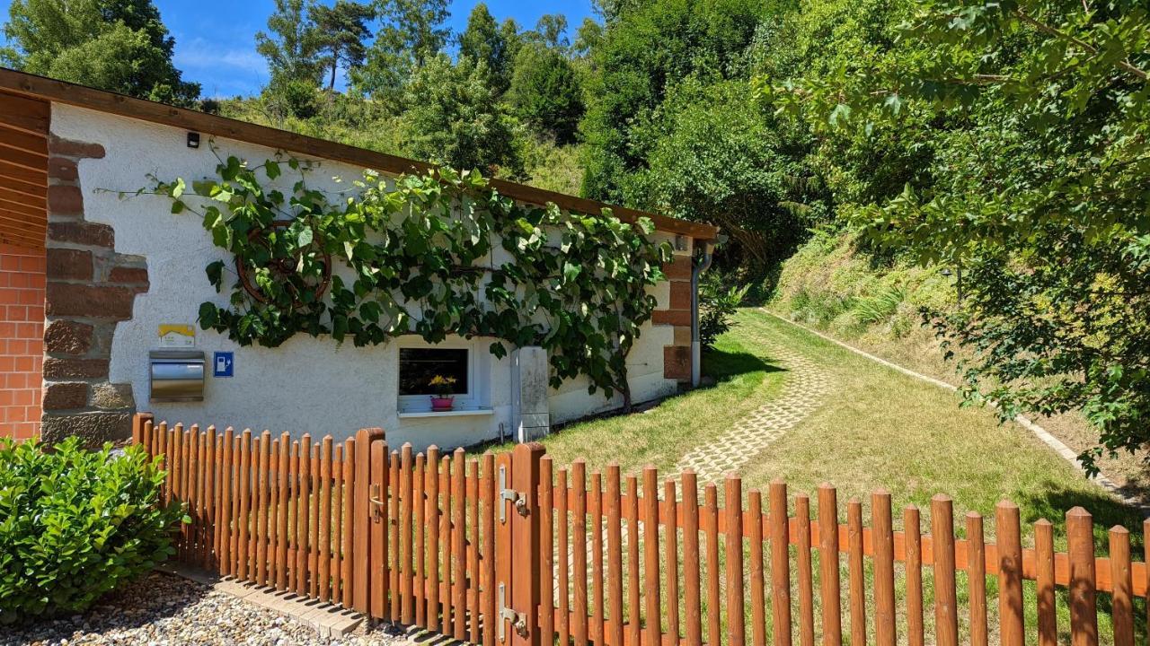 Ferienhaus Manoury Am Klosterbrunnen Waldeck  Eksteriør bilde